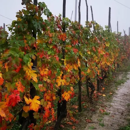 Дом отдыха In With Pool And Winery Bastia Mondovi